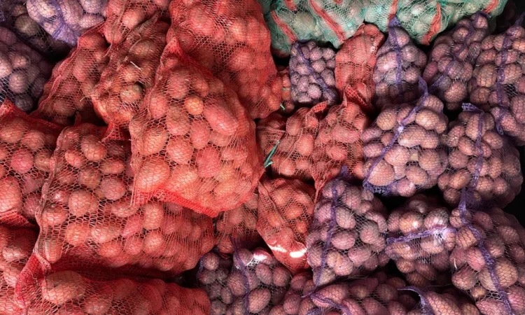 Продаж товарної картоплі оптом - фото № 3