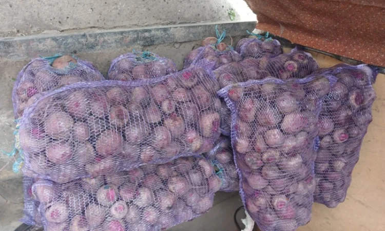 Продаж товарної картоплі Бела Роса та буряка Зеппо - фото № 7