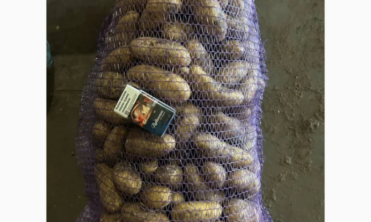 Пропоную якісний картофель гранада на продаж - фото № 1