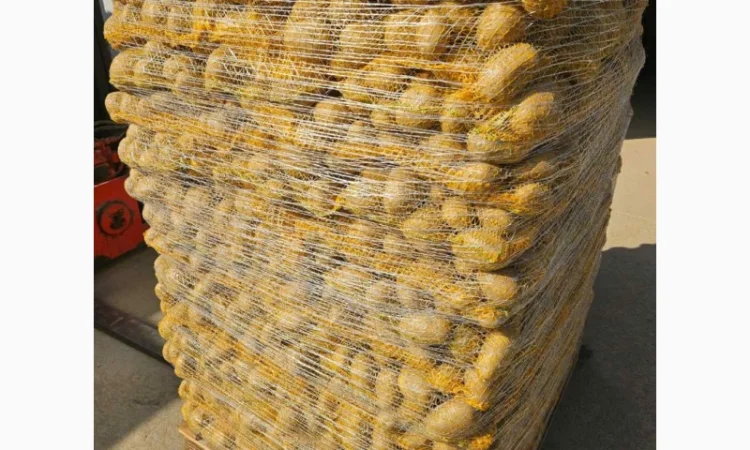 Продаж картоплі різних сортів - фото № 2