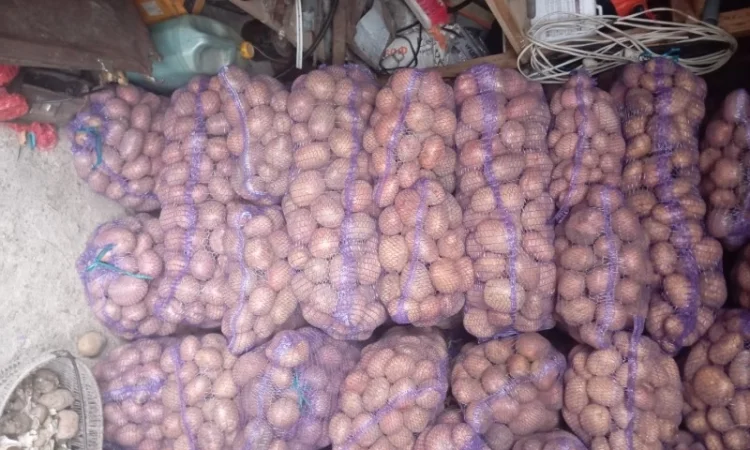 Куплю картоплю від 20 тонн - фото № 7