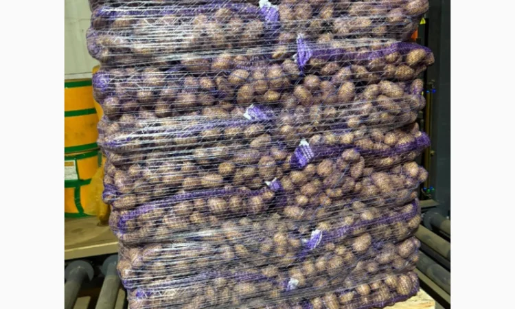 Куплю картофель товарный из Польши - фото № 1