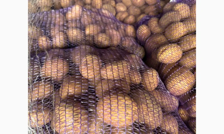 Куплю картофель товарный из Польши - фото № 2