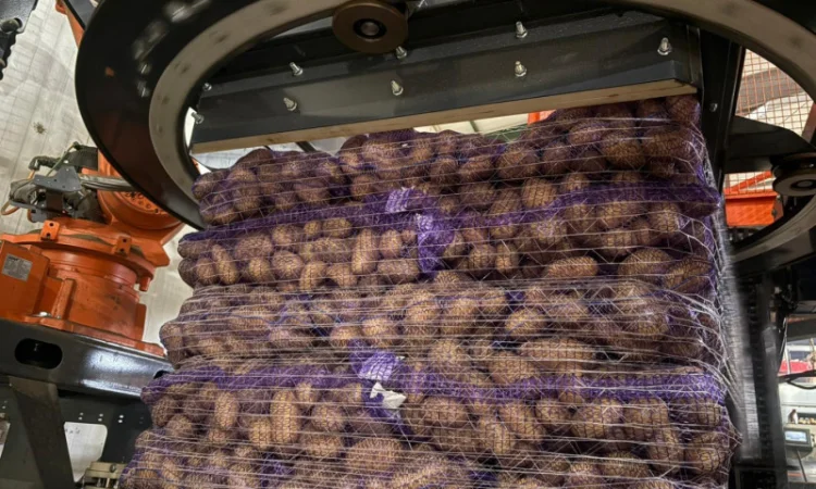 Куплю картофель товарный из Польши - фото № 3