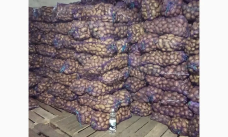 Продаю картошку с доставкой - фото № 2