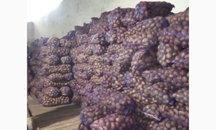 Продаю картошку с доставкой - фото № 3