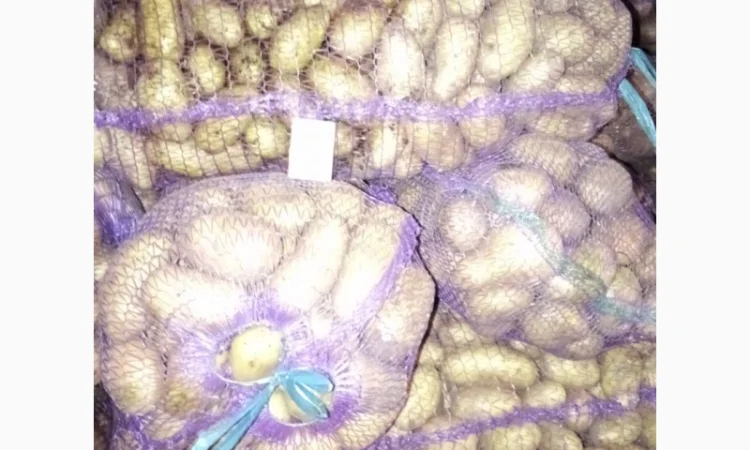 Продаю картошку с доставкой - фото № 4