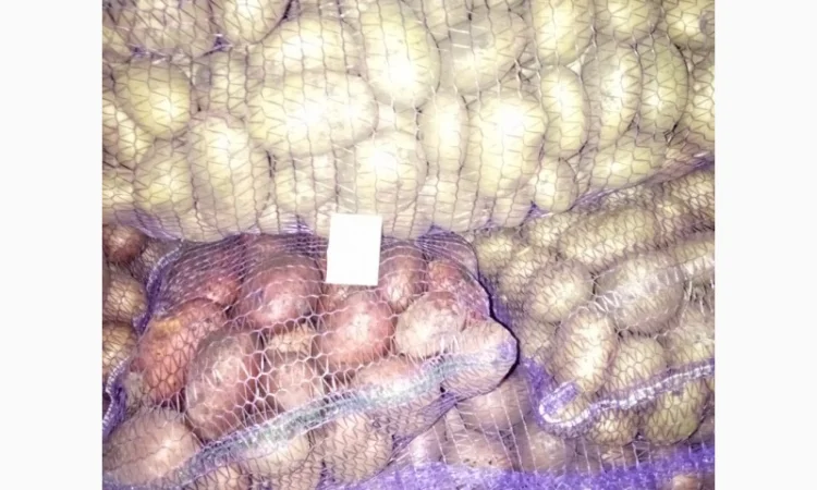 Продаю картошку с доставкой - фото № 5