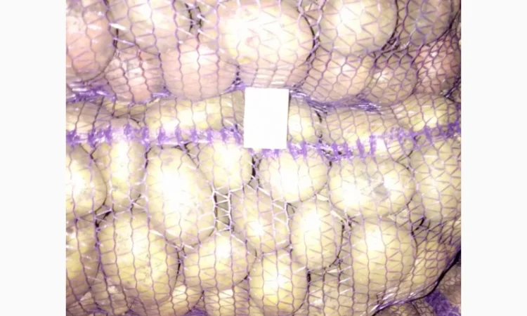 Продаю картошку с доставкой - фото № 6