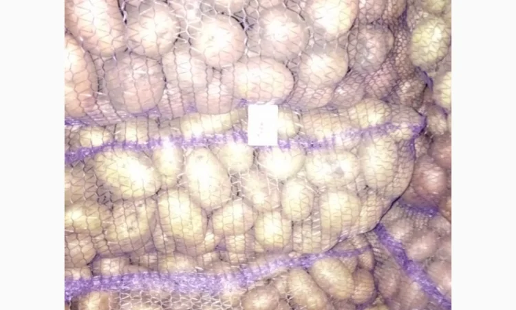 Продаю картошку с доставкой - фото № 7