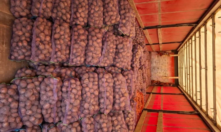 Картопля від населення оптом - фото № 1