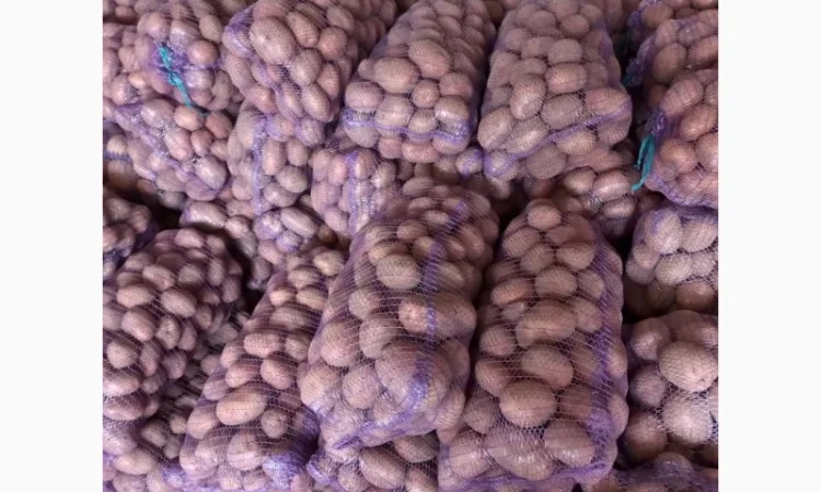 Куплю товарную картошку - фото № 1