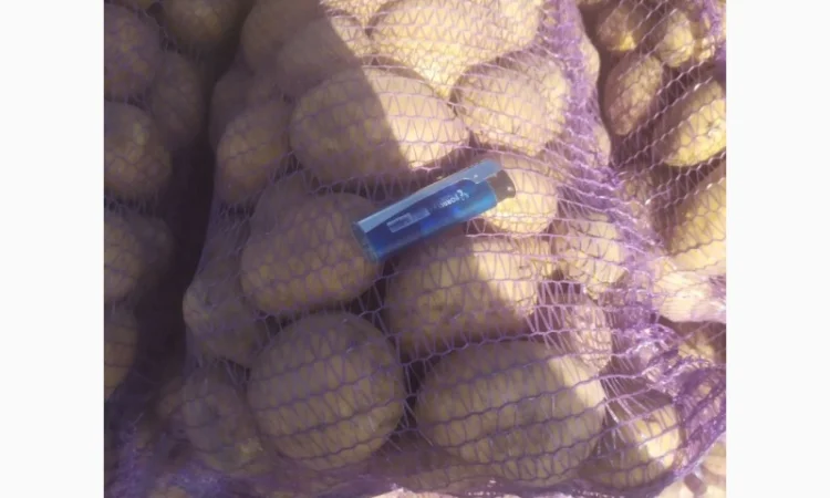 Продаю картоплю сорту Канект - фото № 3