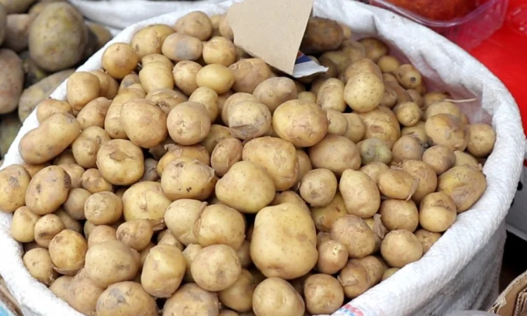 Молода картопля з Азербайджану гуртом від 10 тонн - фото № 1