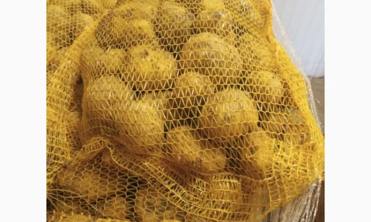 Продаж картоплі з Польщі - фото № 3