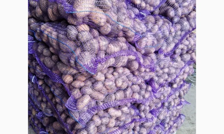 Продаж картоплі з Польщі - фото № 5