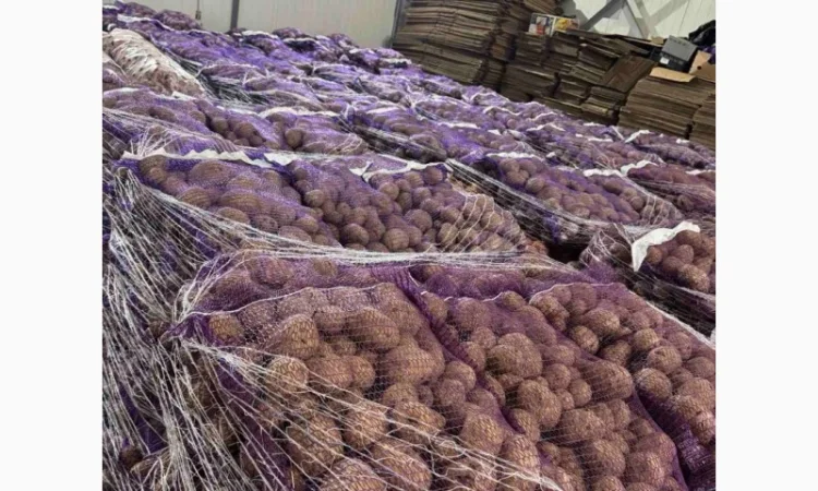 Картопля товарна Імпорт на продаж - фото № 1