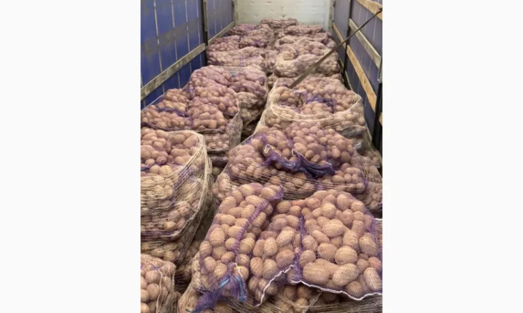 Картопля товарна Імпорт на продаж - фото № 2