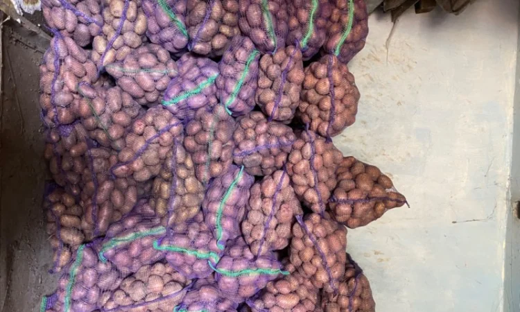 Продажа товарной картошки в сетках - фото № 3