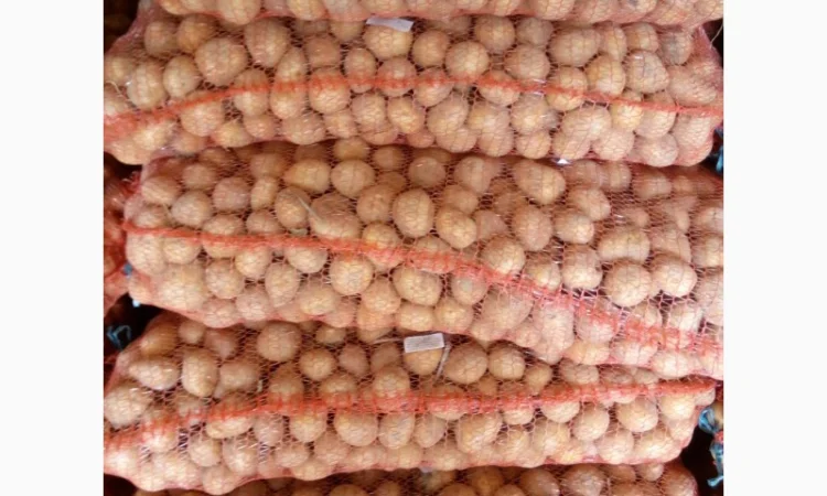 Продаю картошку семенную - фото № 1