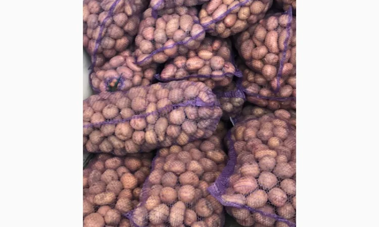 Купую товарну картоплю від 4 до 23 тон - фото № 1