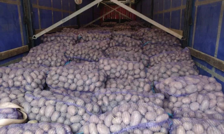 Куплю товарную картошку урожая 2024 года - фото № 5
