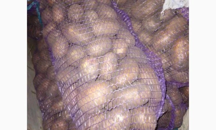 Картошка различных сортов - фото № 1