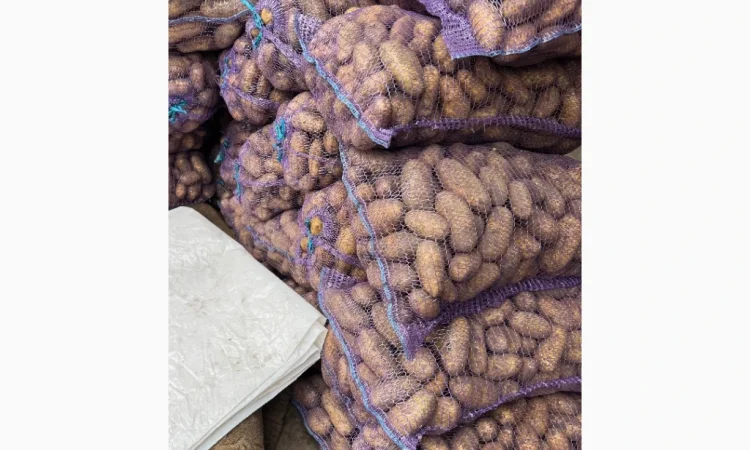 Картопля Гранада, доставка до 7 тонн - фото № 1