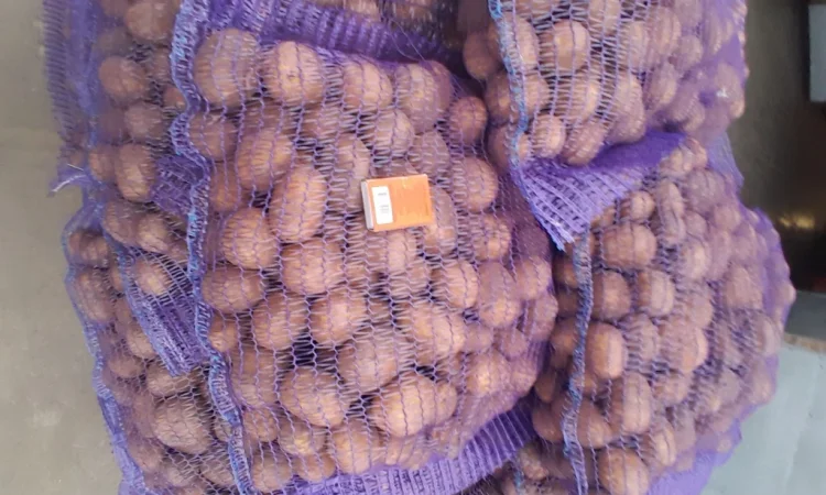 Продажа картофеля сорт Коломбо и Ред Леді - фото № 1