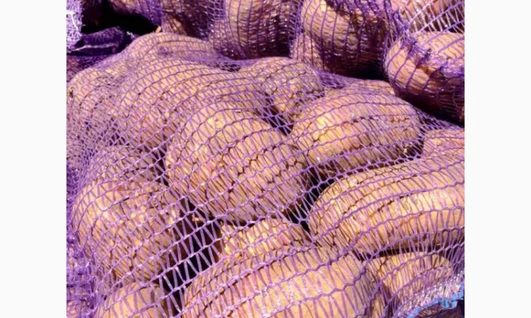 Продаж картоплі 2 сорту в Дніпрі - фото № 1