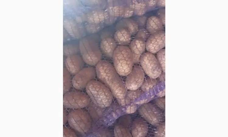 Продам товарный картофель - фото № 1