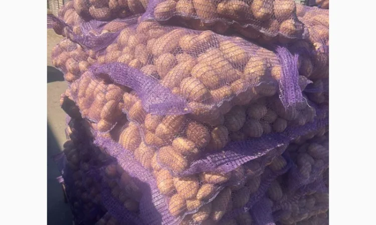 Продажа картофеля сорта Гранада Аризона Белароса - фото № 4