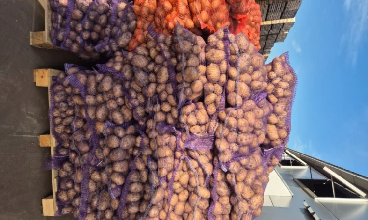Продажа картофеля различных сортов - фото № 2