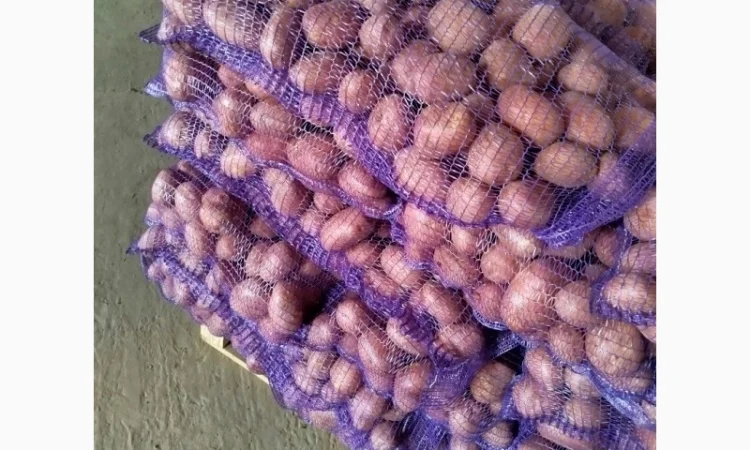 Продаж картоплі від фермерського господарства - фото № 1