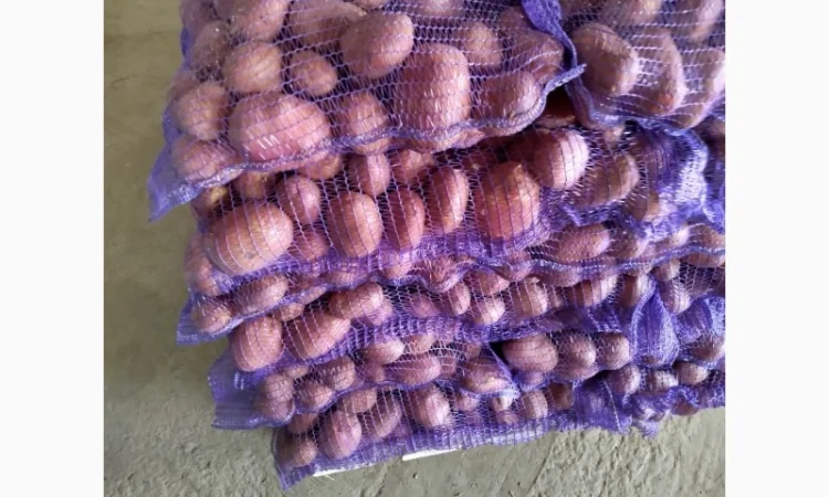 Продаж картоплі від фермерського господарства - фото № 2