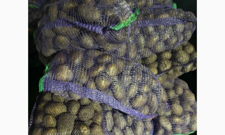 Продаю картофель разных сортов - фото № 6