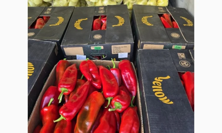 Армянский сладкий перец желтый оптом - фото № 1