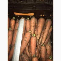 Продажа борщевого набора от производителей - фото № 3