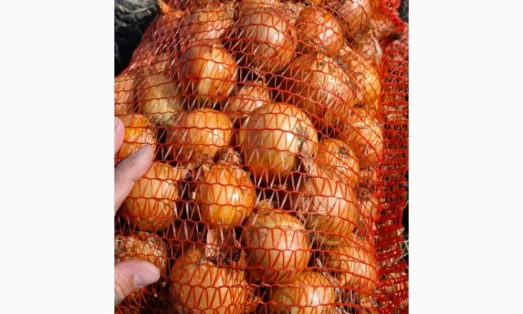 Продажа борщевого набора от производителей - фото № 7