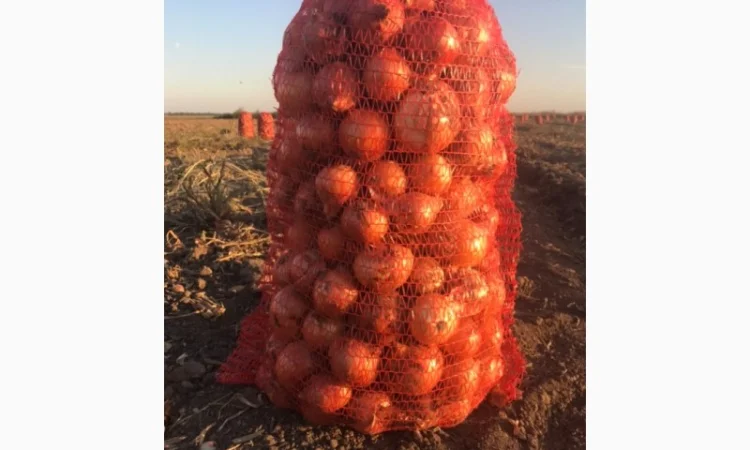 Продажа борщевого набора от производителей - фото № 8