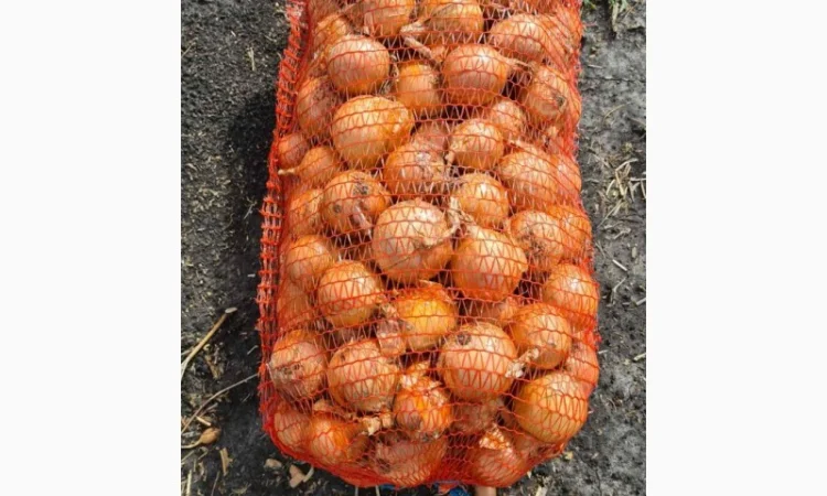 Продажа борщевого набора от производителей - фото № 10