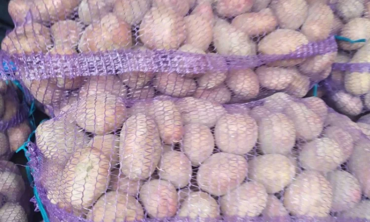 Продажа борщевого набора от производителей - фото № 11