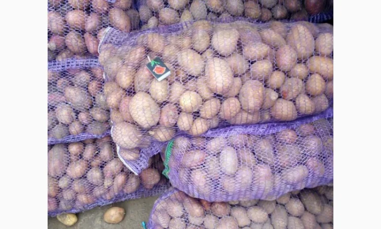 Продажа борщевого набора от производителей - фото № 12