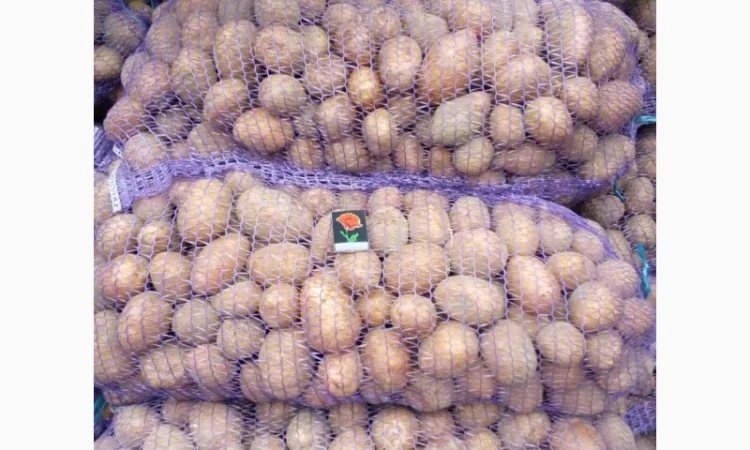 Продажа борщевого набора от производителей - фото № 13