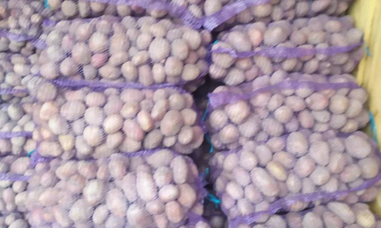 Продажа борщевого набора от производителей - фото № 14