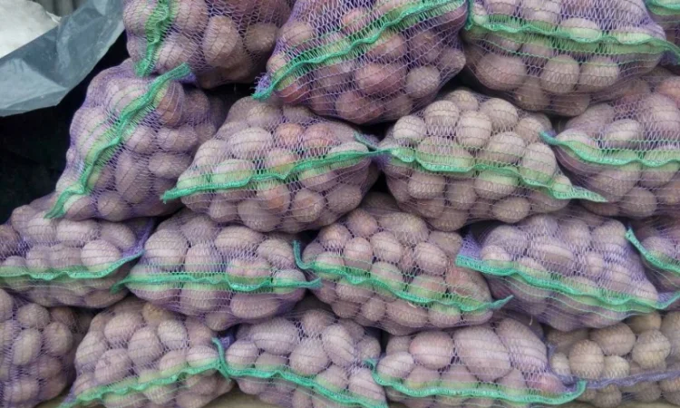 Продажа борщевого набора от производителей - фото № 15