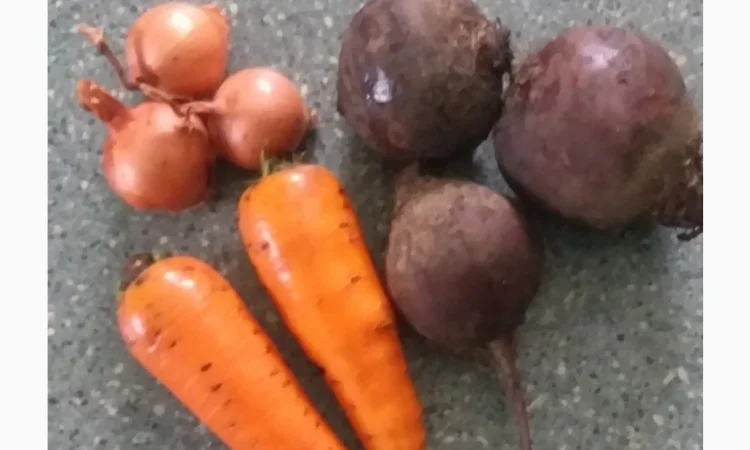 Продаю борщовий набір - фото № 1