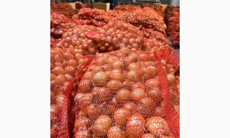 Продаются овощи высшего качества - фото № 3