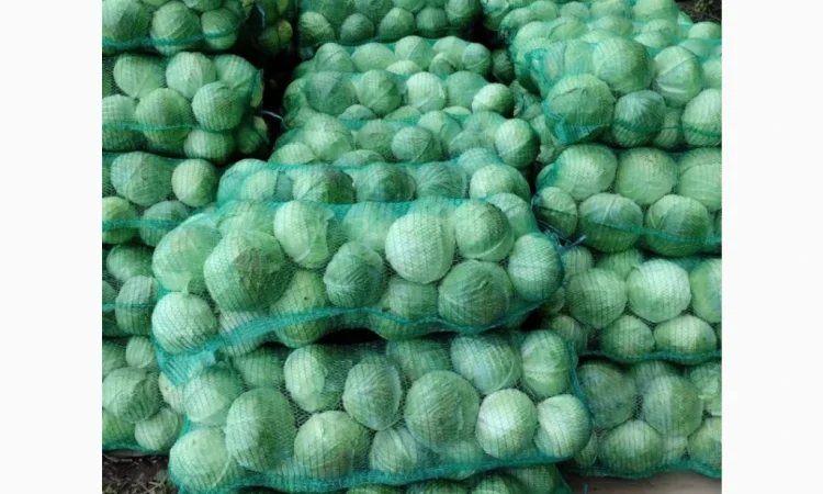 Оптом овощи: картошка, капуста, морковь и другие - фото № 3