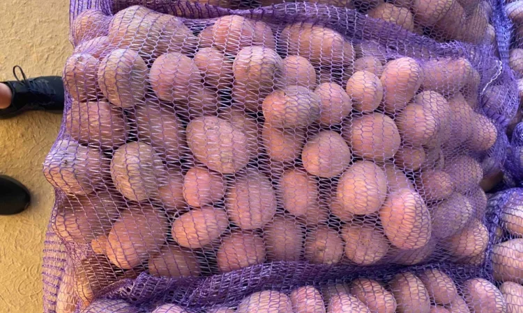 Оптом овощи: картошка, капуста, морковь и другие - фото № 5